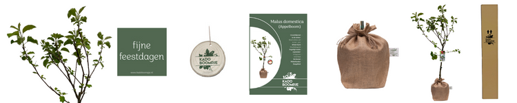 Cadeauverpakking Kerstpakket Appelboom