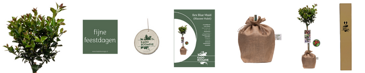 Cadeauverpakking Kerstpakket Secret Forest Walk