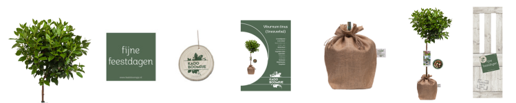 Cadeauverpakking Kerstpakket Secret Forest Walk