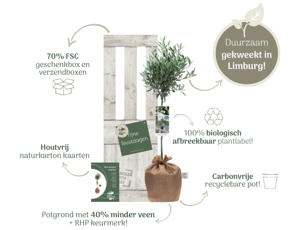 Duurzaamheid kadoboompje kerstpakketten