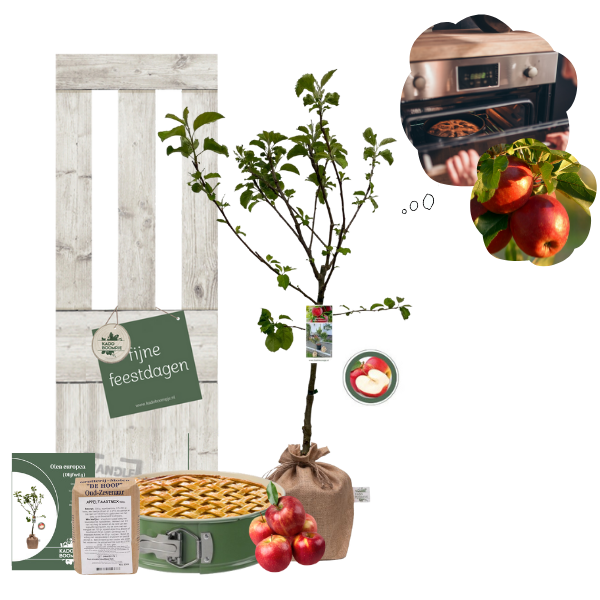 Kerstpakket Appelboom
