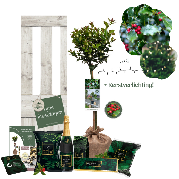 Kerstpakket Ilex Secret Forest