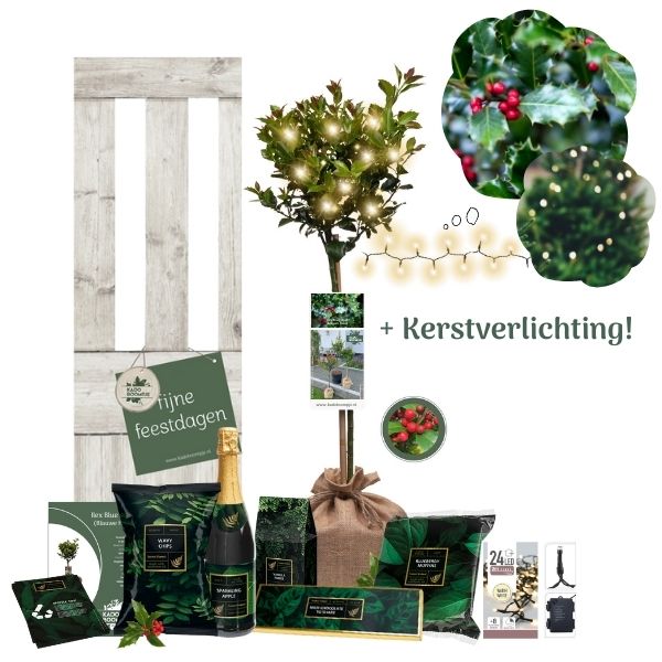 Kerstpakket Ilex Secret Forest