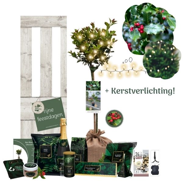 Kerstpakket Ilex Secret Forest XL