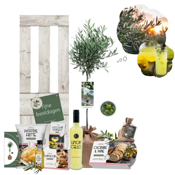 Kerstpakket Olijfboom d'Italia