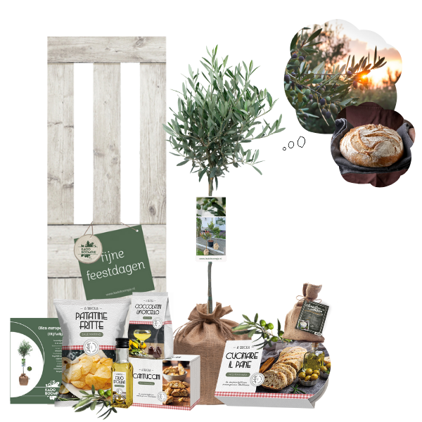 Kerstpakket Olijfboom d'Italia