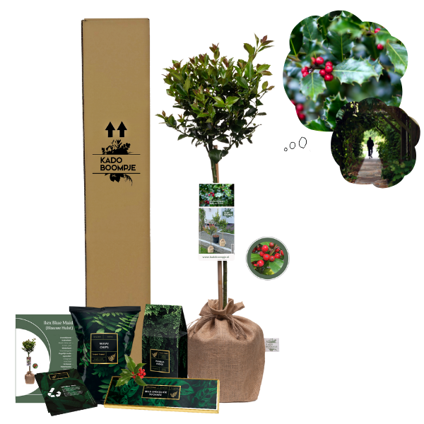 Kerstpakket Ilex Secret Forest small
