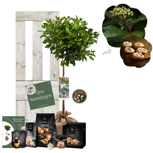 Kerstpakket Ilex Secret Forest small