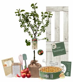 Kerstpakket Appelboom