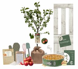 Kerstpakket Appelboom