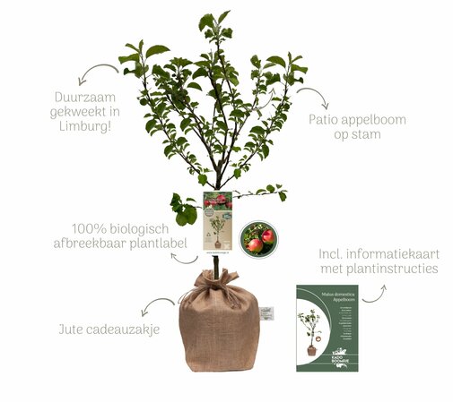 Kerstpakket Appelboom