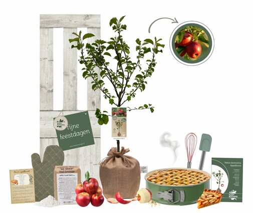 Kerstpakket Appelboom