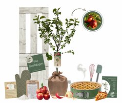 Kerstpakket Appelboom