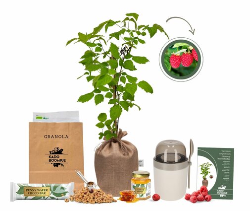 Kerstpakket Berry Breakfast Club