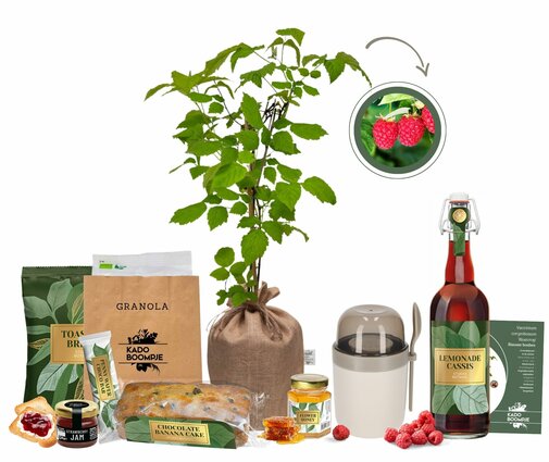Kerstpakket Berry Breakfast XL Club