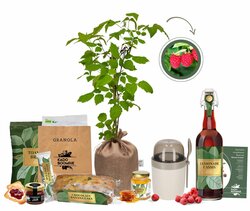 Kerstpakket Berry Breakfast XL Club