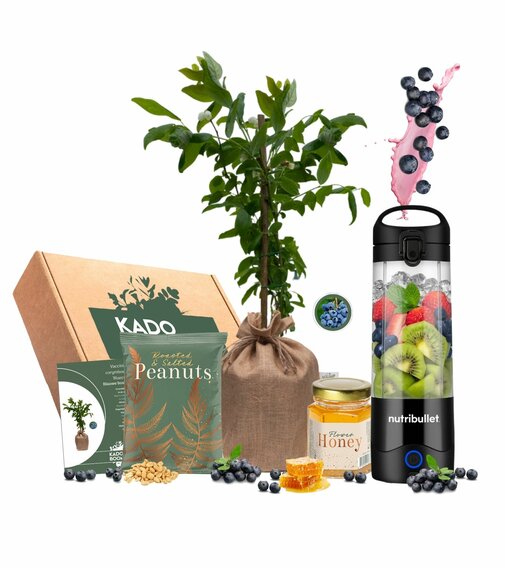 Kerstpakket Blueberry Blend & Go