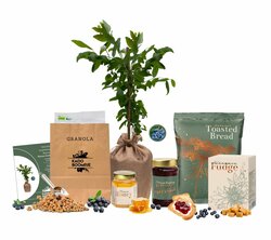 Kerstpakket Blueberry Crunch