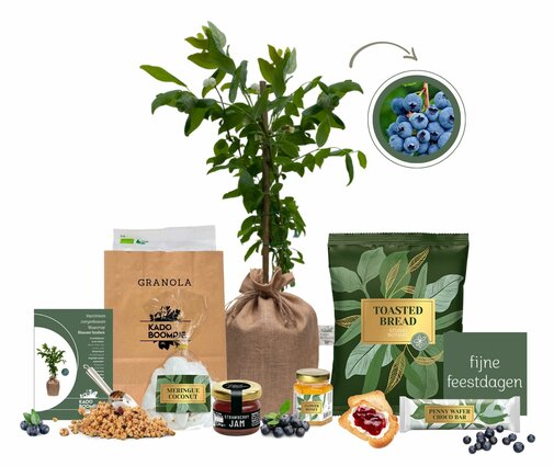 Kerstpakket Blueberry Crunch