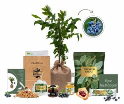 Kerstpakket Blueberry Crunch