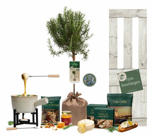 Kerstpakket Fondue au Romarin Élancé