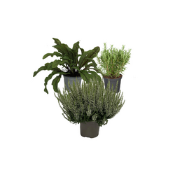 Kerstpakket Heerlijk Moestuinieren