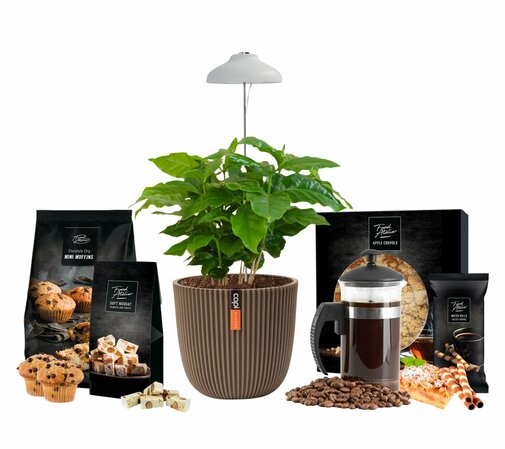 Kerstpakket High Coffee Arabica
