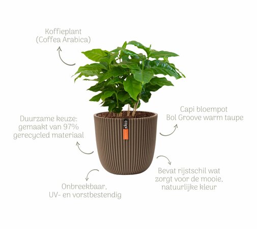 Kerstpakket High Coffee Arabica