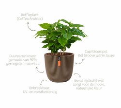 Kerstpakket High Coffee Arabica