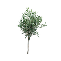 Kerstpakket Kadoboompje