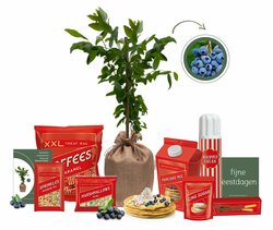 Kerstpakket Merry Berry Pancake Party