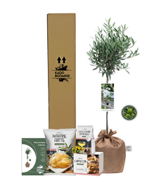 Kerstpakket Olijfboom d'Italia