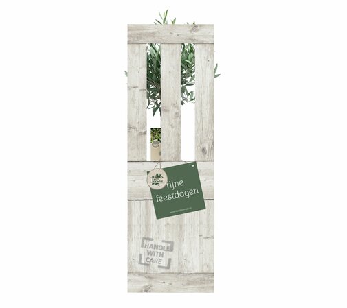 Kerstpakket Olijfboom La Dolce Vita XL
