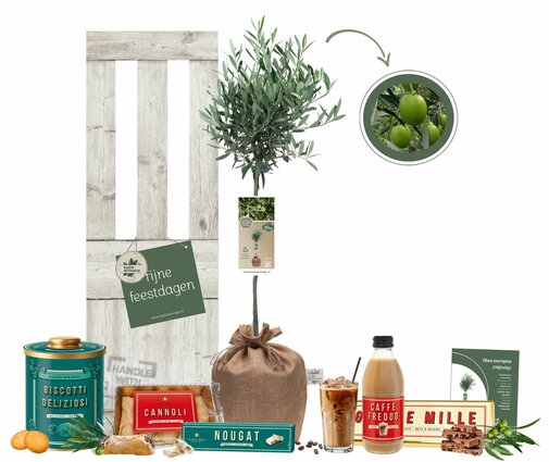 Kerstpakket Olijfboom La Dolce Vita