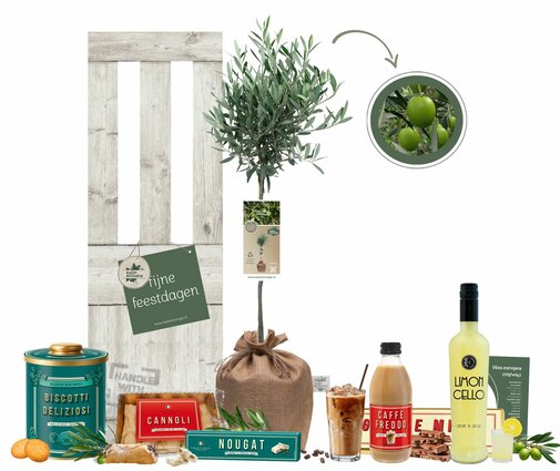 Kerstpakket Olijfboom La Dolce Vita XL