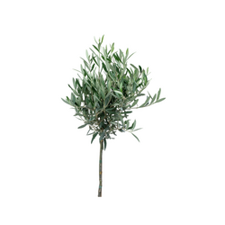 Kerstpakket Olijfboom Mangiare d'Italia
