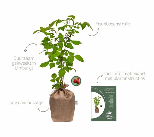 Kerstpakket Raspberry Lunchtime