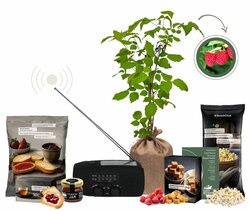 Kerstpakket Raspberry Ready