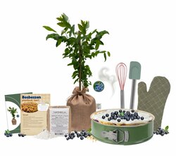 Kerstpakket The Baking Blueberry