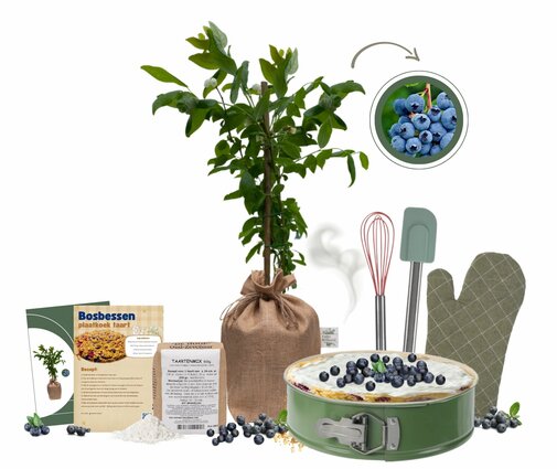 Kerstpakket The Baking Blueberry