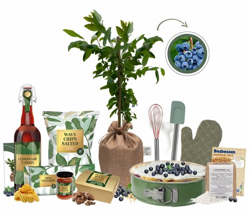 Kerstpakket The Baking Blueberry XL