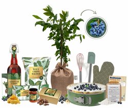 Kerstpakket The Baking Blueberry XL