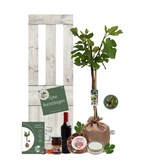 Kerstpakket Vijgenboom